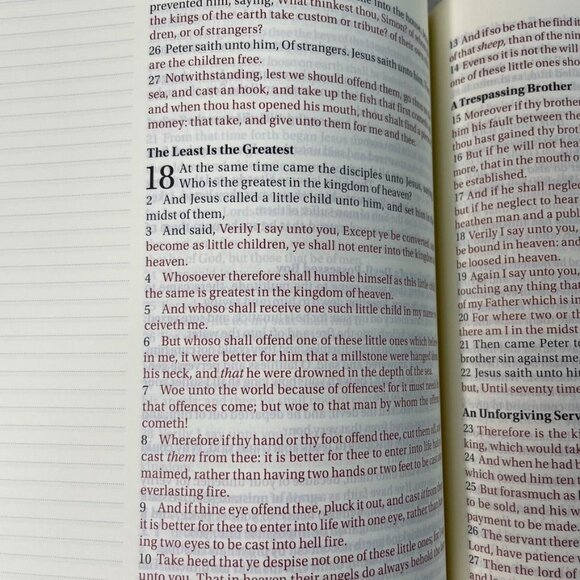 KJV Bible Journal the Word LARGE PRINT u Red Black Text Art Journal Spaces - Picture 14 of 16